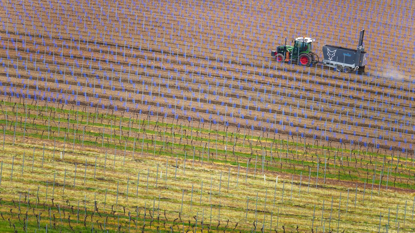 Die Landwirte sehen steigende Kosten auf sie zukommen. (Symbolbild) Foto: Frank Rumpenhorst/dpa