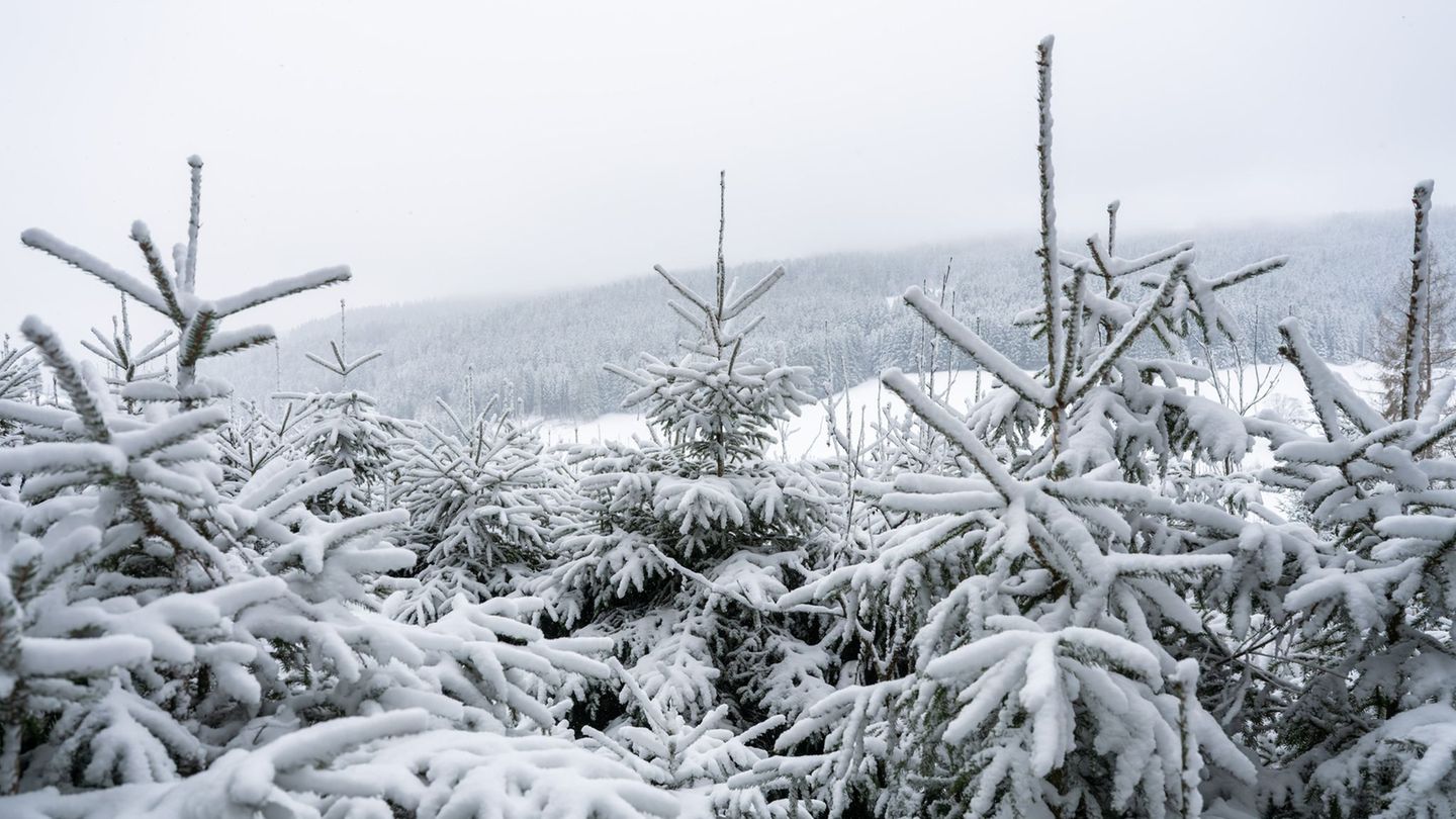 DWD-Prognose.: Frost statt Frühling: So winterlich wird das Wochenende