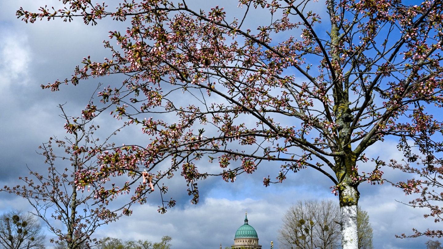 Wolken ziehen über den blauen Himmel der Hauptstadtregion. In den nächsten Tagen sollte man auf alle Wetterlagen vorbereitet sei