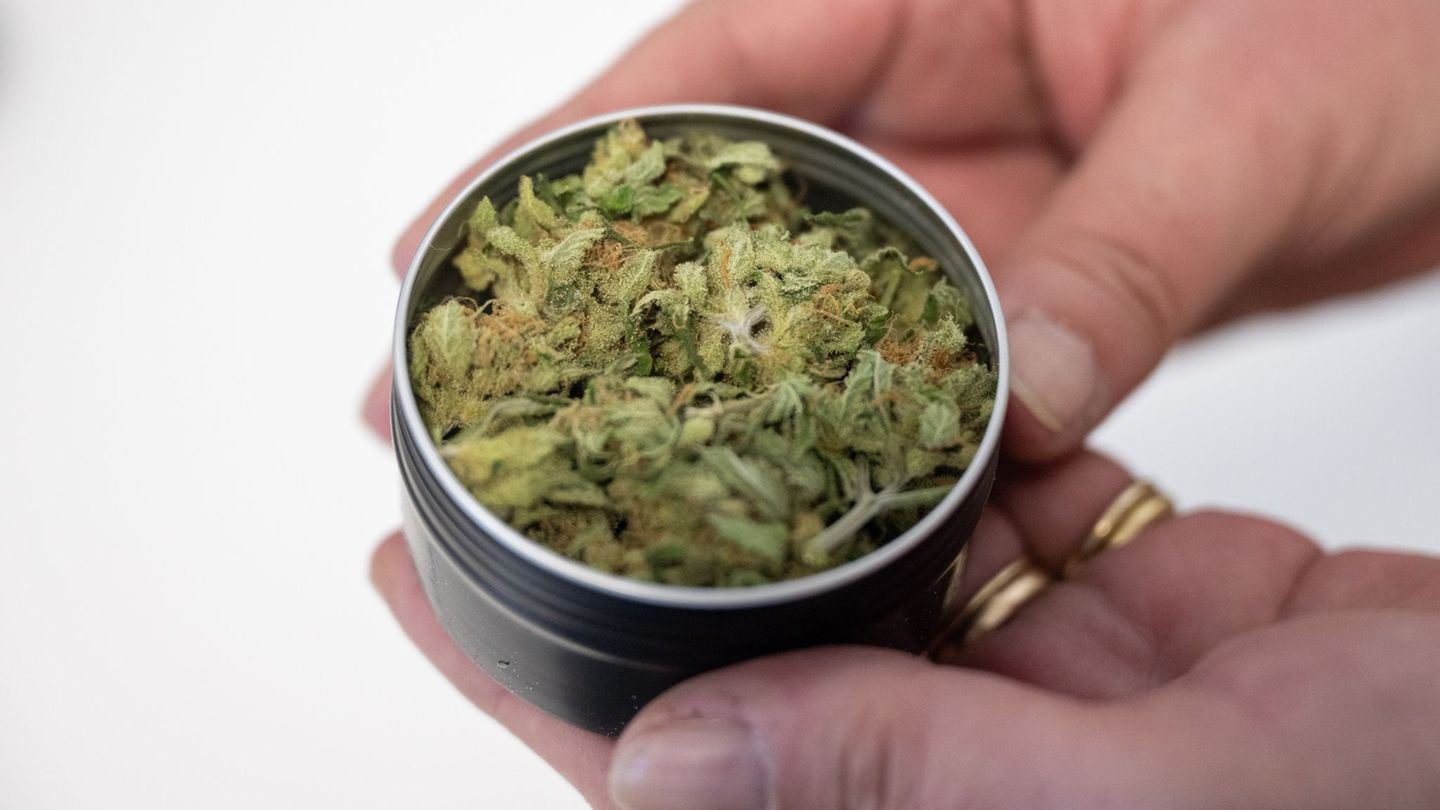 Seit 2024 darf Cannabis in Anbauvereinigungen legal an Mitglieder abgegeben werden. (Archivbild) Foto: Christophe Gateau/dpa