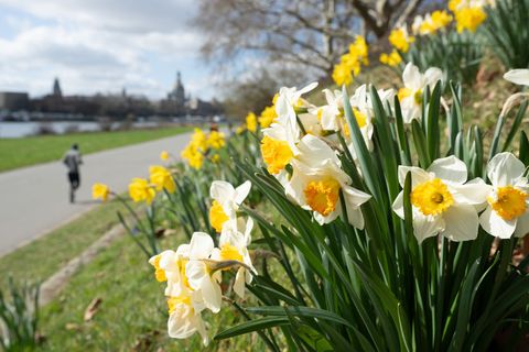 Der Samstag beginnt zunächst sonnig. (Archivbild) Foto: Sebastian Kahnert/dpa