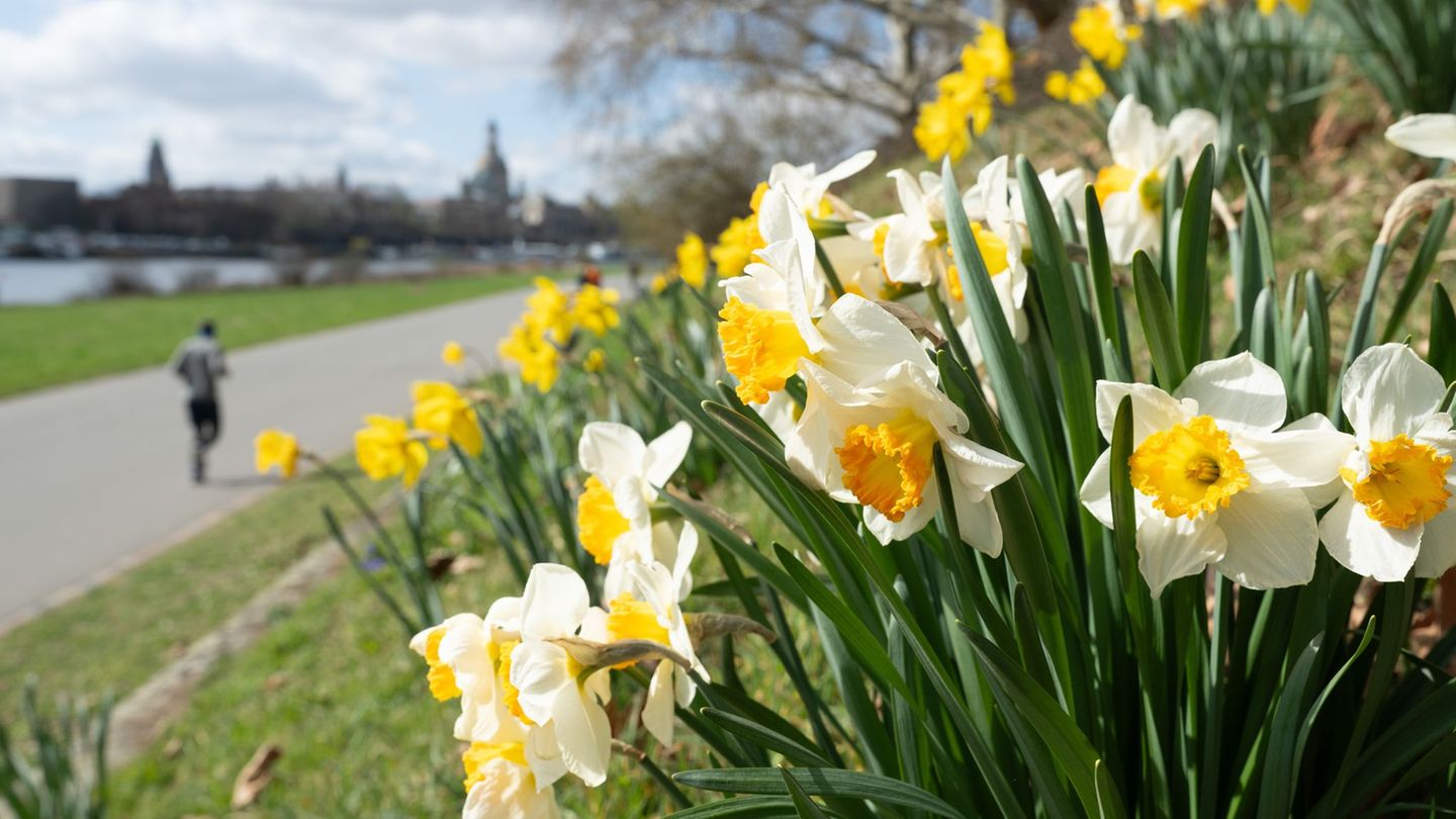 Wetter: Wechselhafter Samstag: Erst Sonne, dann Schnee