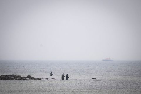Das Boot "Uecker" von der Wasserschutzpolizei sucht den Wal an der Ostseeküste. Foto: Philip Dulian/dpa