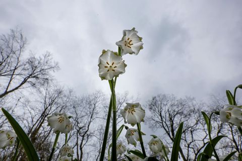 Das Wetter in Deutschland zeigt sich in den kommenden Tagen von seiner ungemütlichen Seite. (Symbolbild) Foto: Thomas Warnack/dp