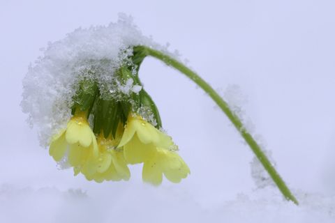 Die Osterferien beginnen mit ungemütlichem Wetter. (Archivbild) Foto: Karl-Josef Hildenbrand/dpa