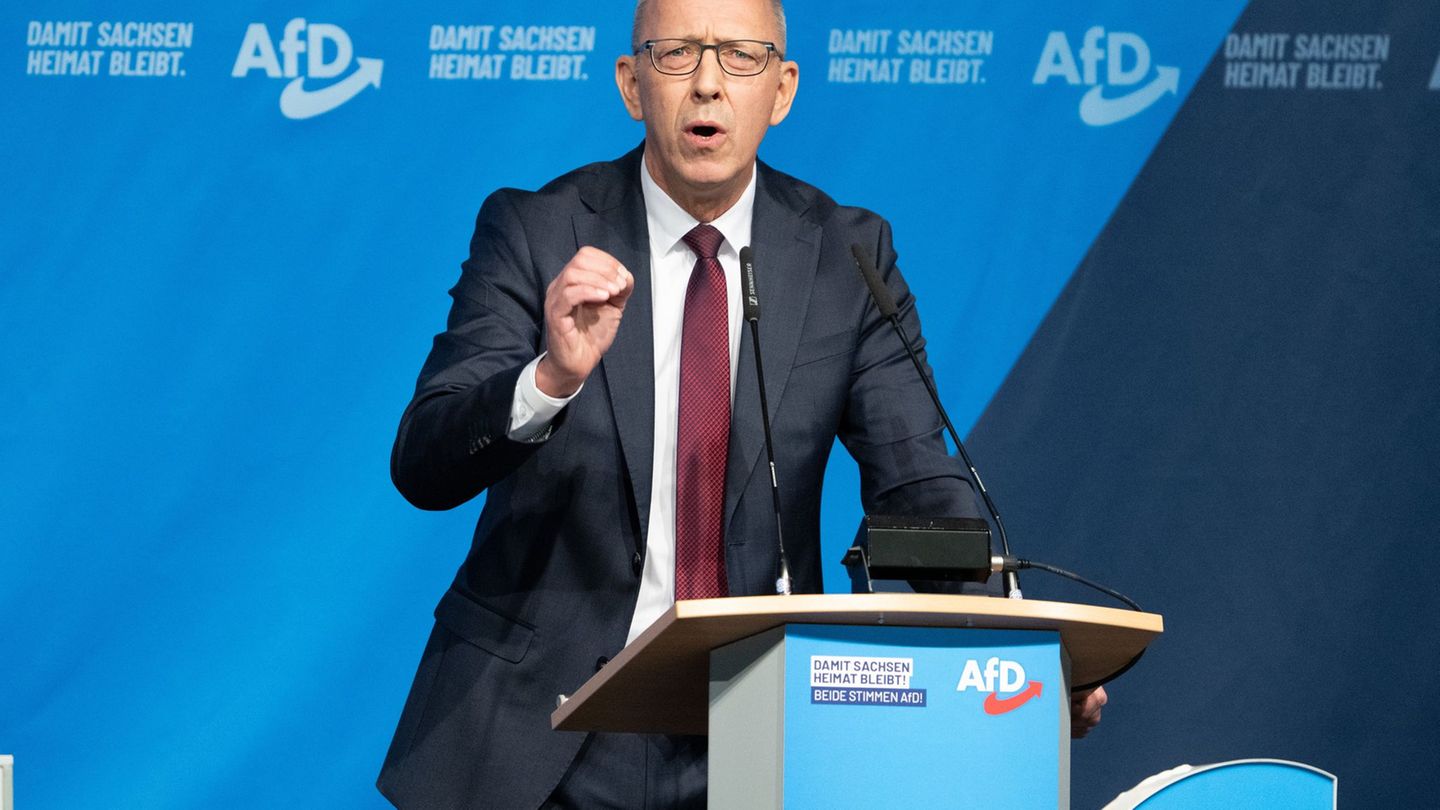 Parteitag der AfD: Jörg Urban bleibt AfD-Chef in Sachsen