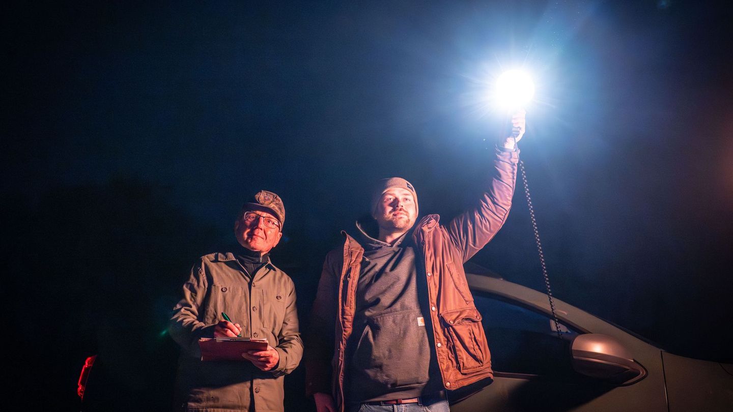 Feldhasen in Hessen: Hoppeln im Lichtkegel: Wie Hasen gezählt werden