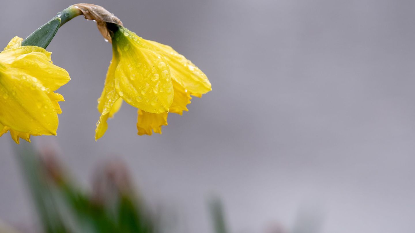 Wetter: Regen, Schnee und Sonne zum Wochenstart in Niedersachsen