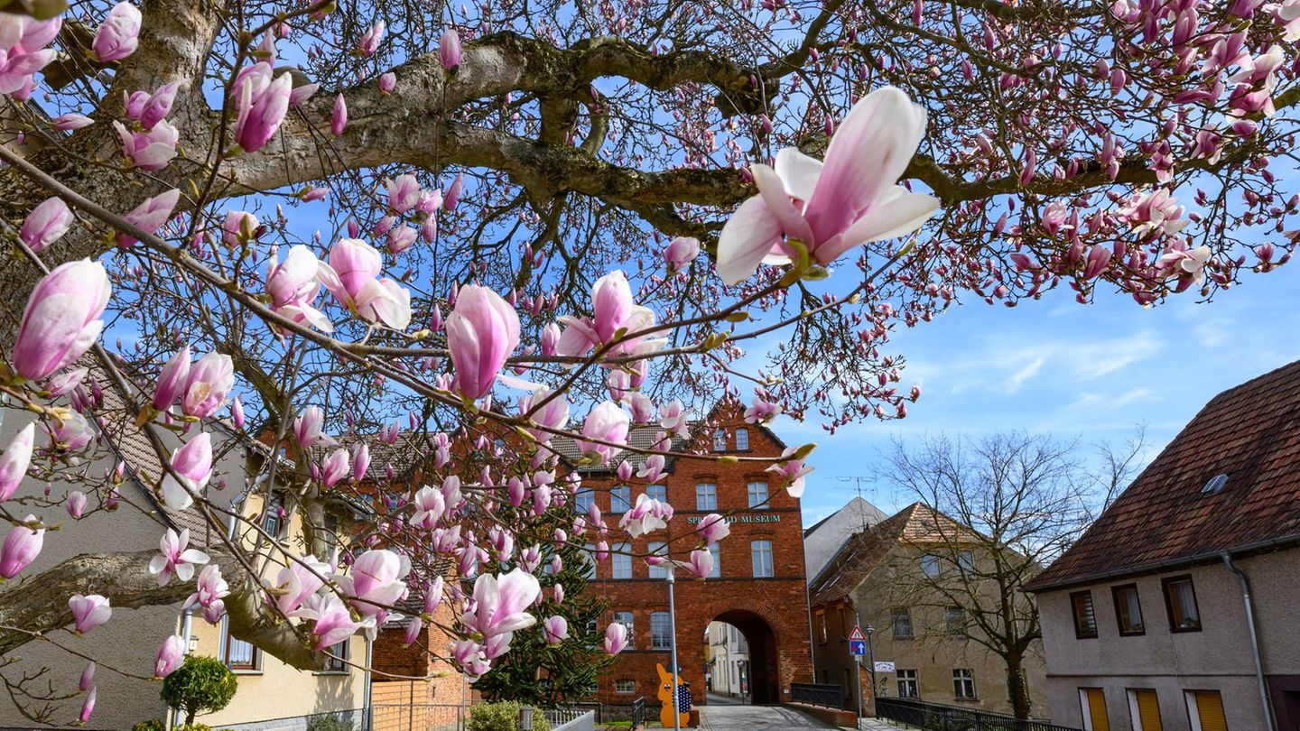 Wetter: Mit diesem Wetter beginnt die erste Ferienwoche