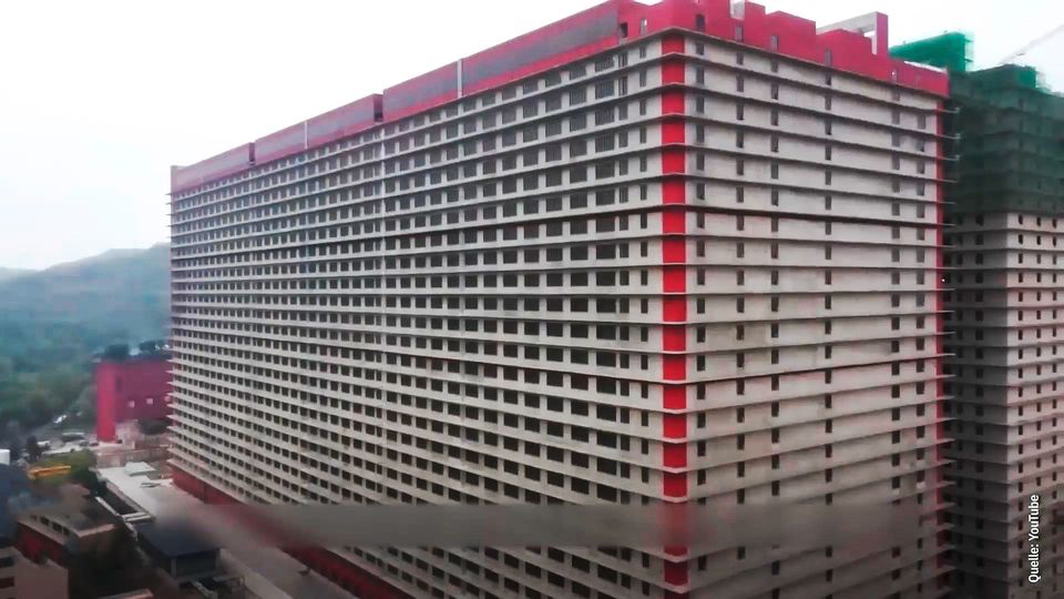 Abertausende Schweine erwarten in Hochhaus den Tod