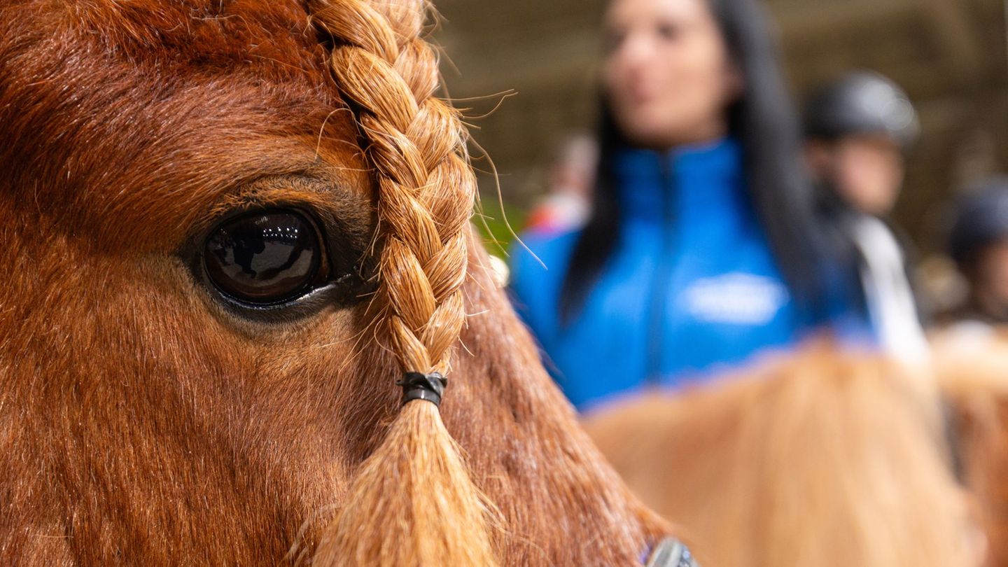 Mehr als 26.000 Menschen haben die diesjährige Messe "Reiten-Jagen-Fischen" in Erfurt besucht. Foto: Michael Reichel/dpa
