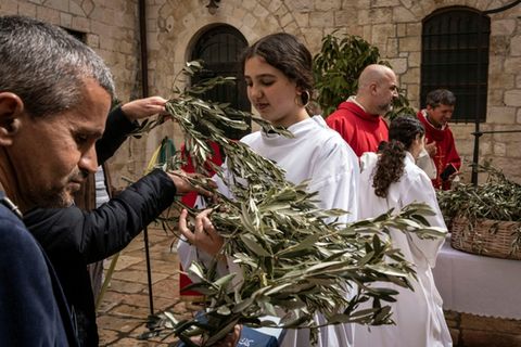 Ministranten verteilen Olivenzweige in Jerusalems Altstadt