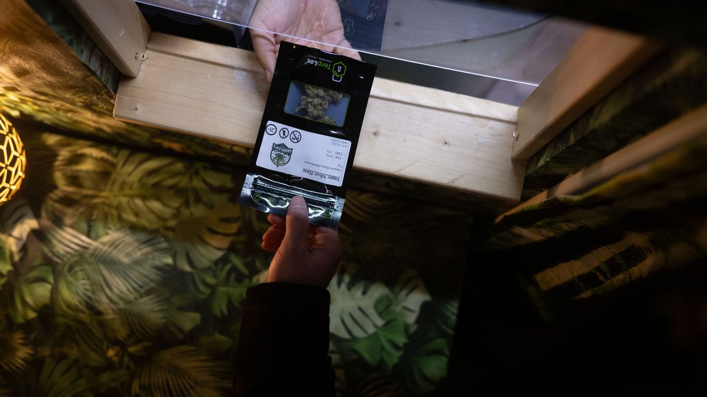 Cannabis: Zwei Jahre legal kiffen - Anbauvereinigungen frustriert