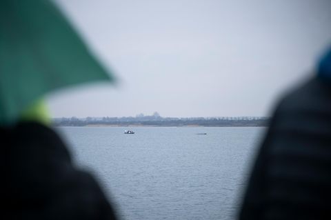 Buckelwal vor Wismar