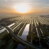 Landwirtschaft rund um Gouda