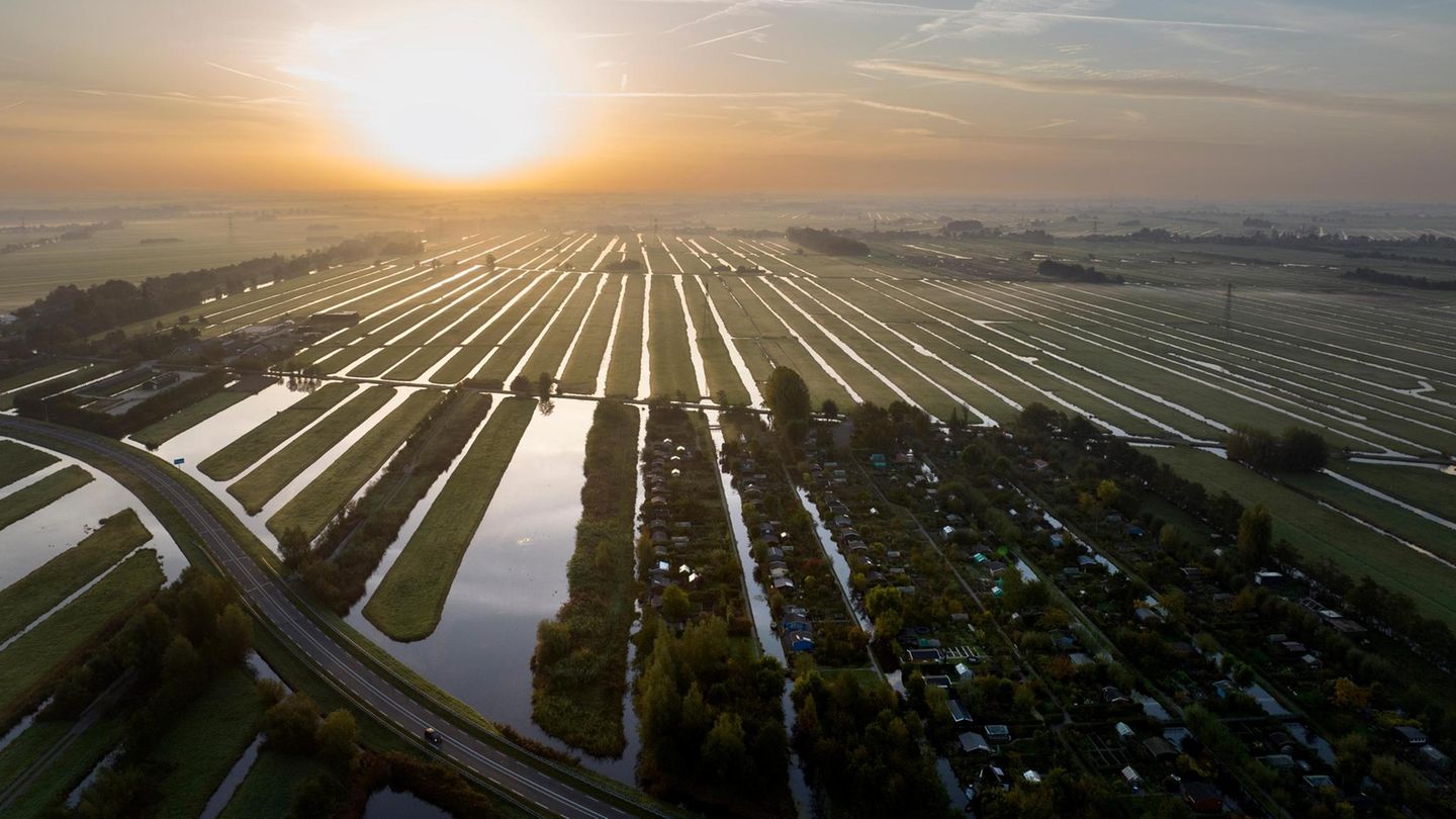 Landwirtschaft rund um Gouda