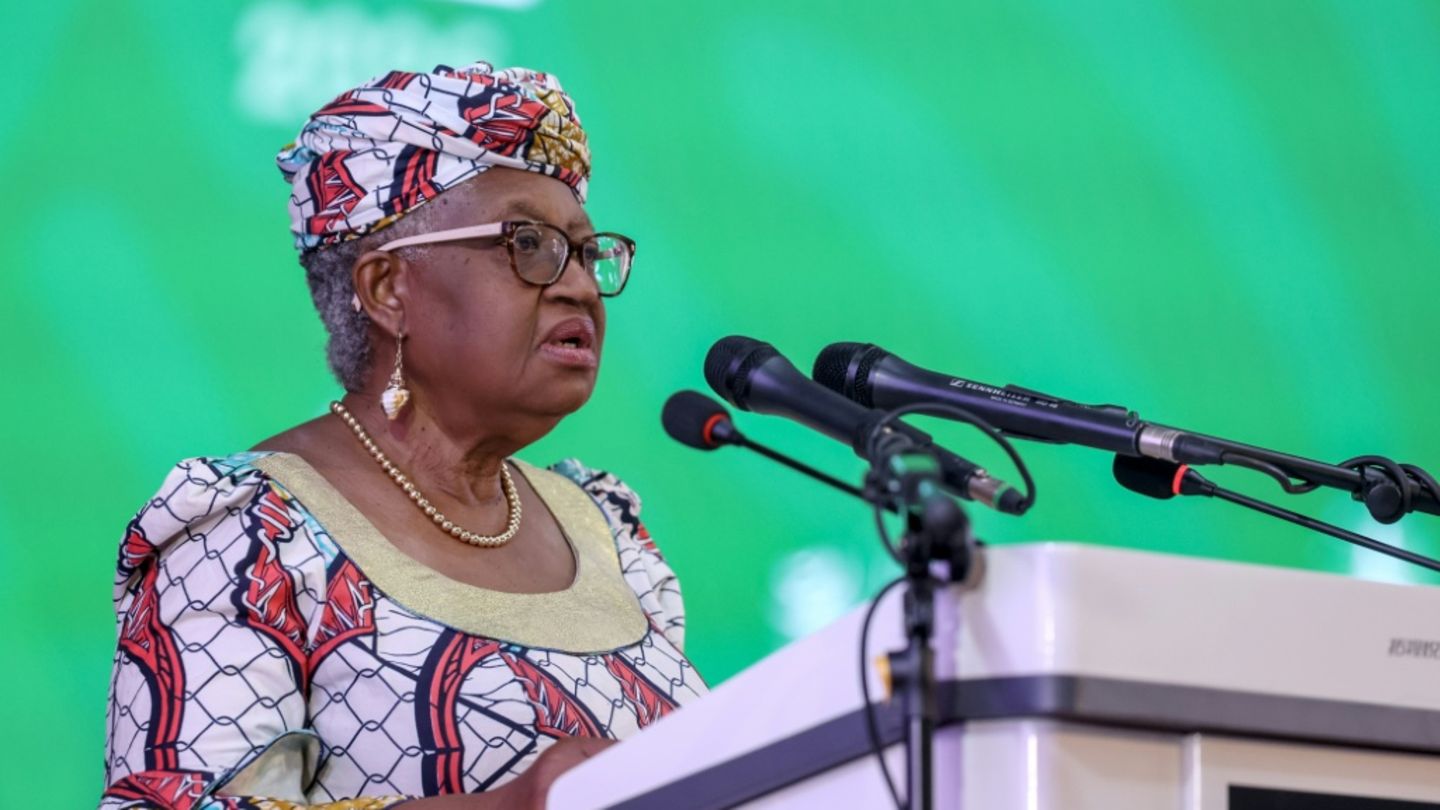 WTO-Verhandlungen ohne Ergebnis beendet - Zollmoratorium für Digitales läuft aus