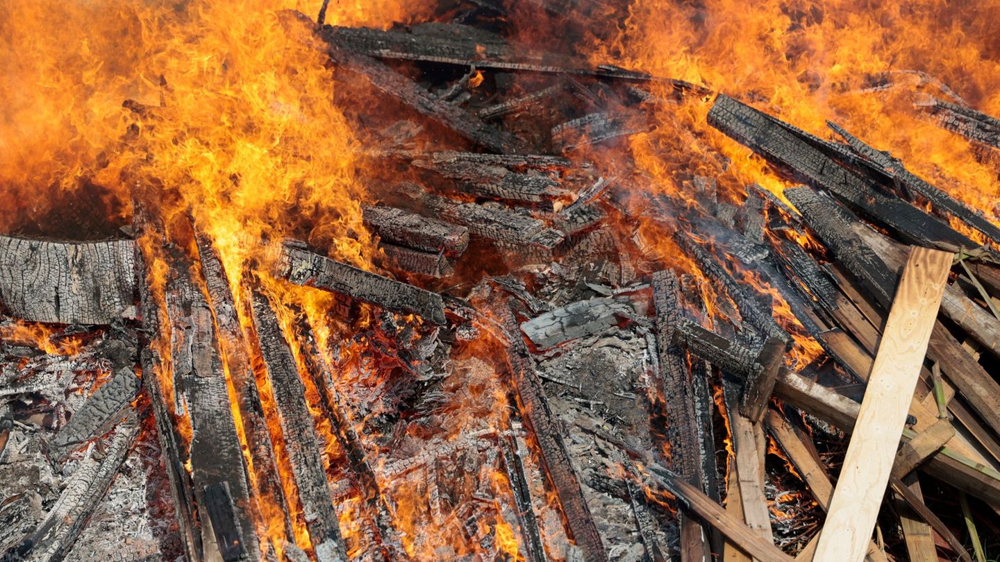 In den Haufen könnten Wildtieren sein, warnt der Tierschutzverein Berlin. (Symbolbild) Foto: Thomas Banneyer/dpa
