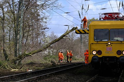 Arbeiter beseitigen den Baum, der bei Mönchengladbach in die Gleise gefallen ist. Foto: Roberto Pfeil/dpa