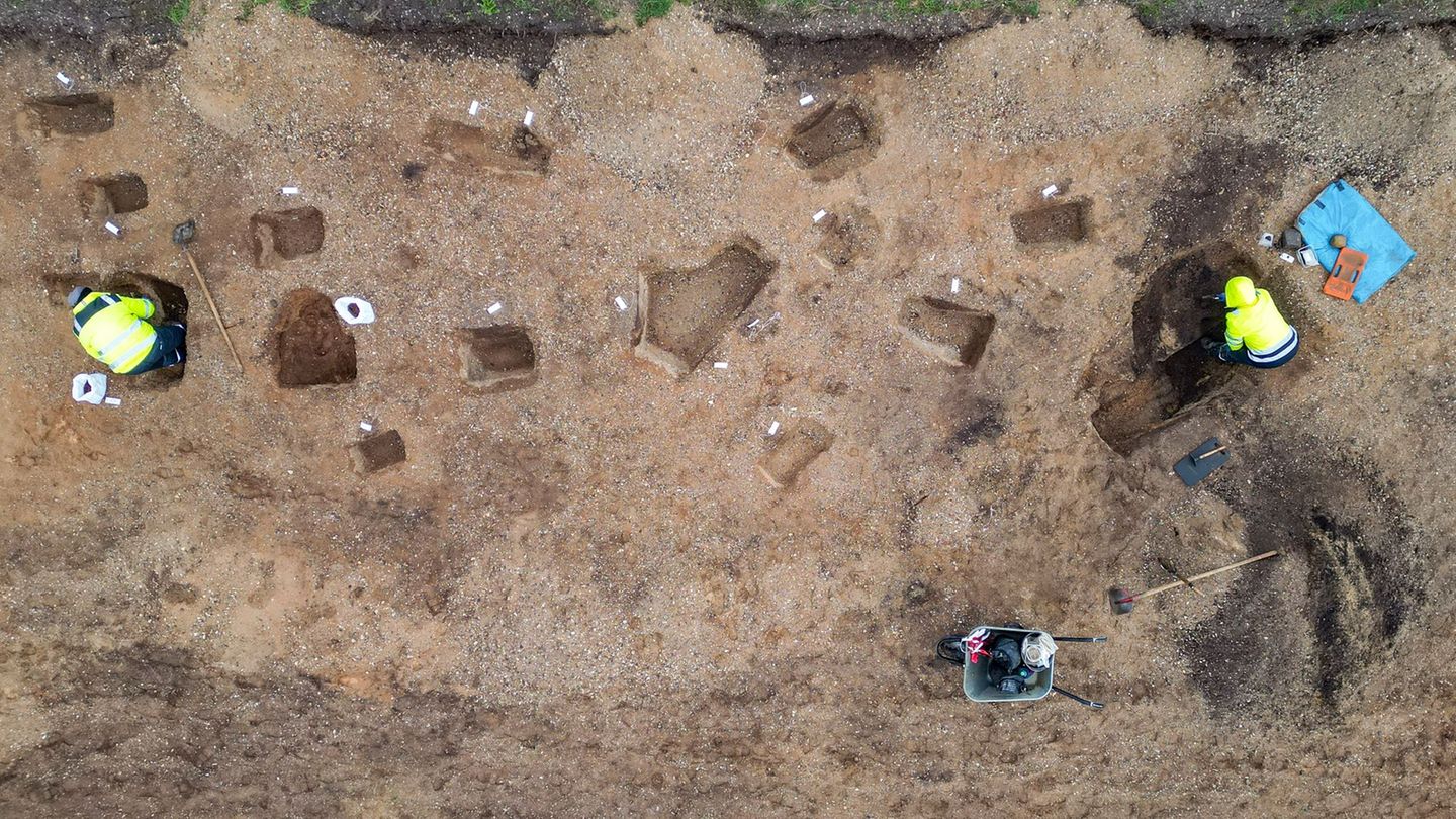 Grabungen in Nordsachsen: "Beispiellos erhalten" - 3.000 Jahre alte Siedlung entdeckt