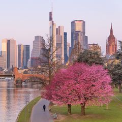 Frankfurter Skyline