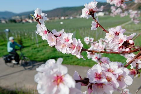 Im März lockte das Wetter bereits zu vielen Aktivitäten ins Freie. (Archivbild) Foto: Uwe Anspach/dpa