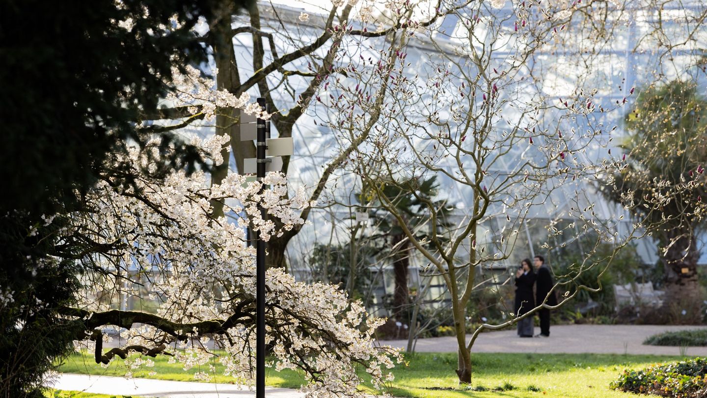 Mildes Wetter und viel Sonnenschein in NRW Foto: Rolf Vennenbernd/dpa
