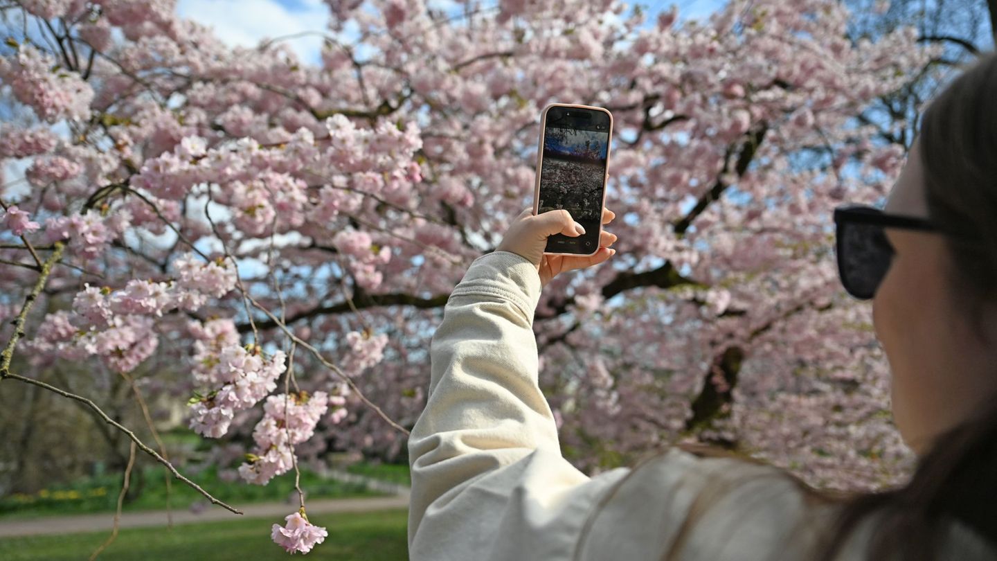 Der Frühling legte im März einen Turbo ein. Foto: Michael Brandt/dpa