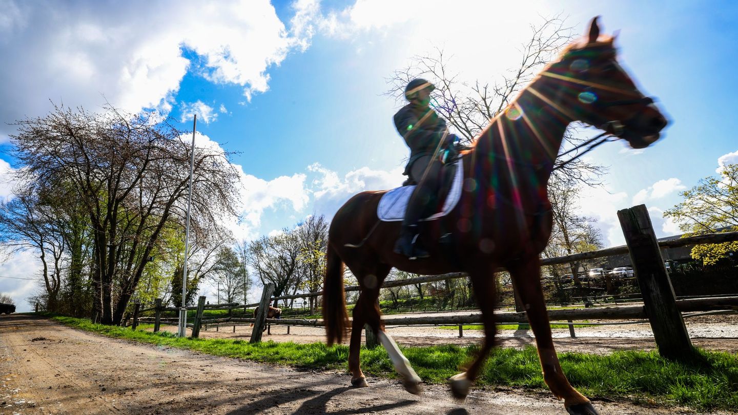 Das Wetter lockte Mensch und Tier nach draußen. Foto: Christoph Reichwein/dpa