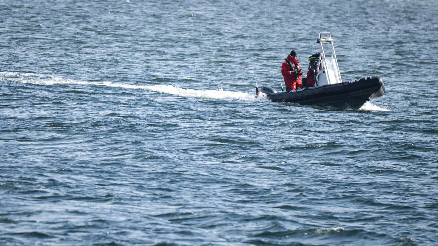 Tiere: Buckelwal vor Ostseeküste ist abgetaucht