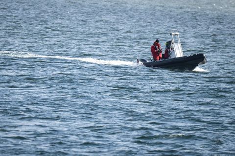 Die Polizei war auf der Ostsee unterwegs, um den Buckelwal zu betreuen. Foto: Philip Dulian/dpa