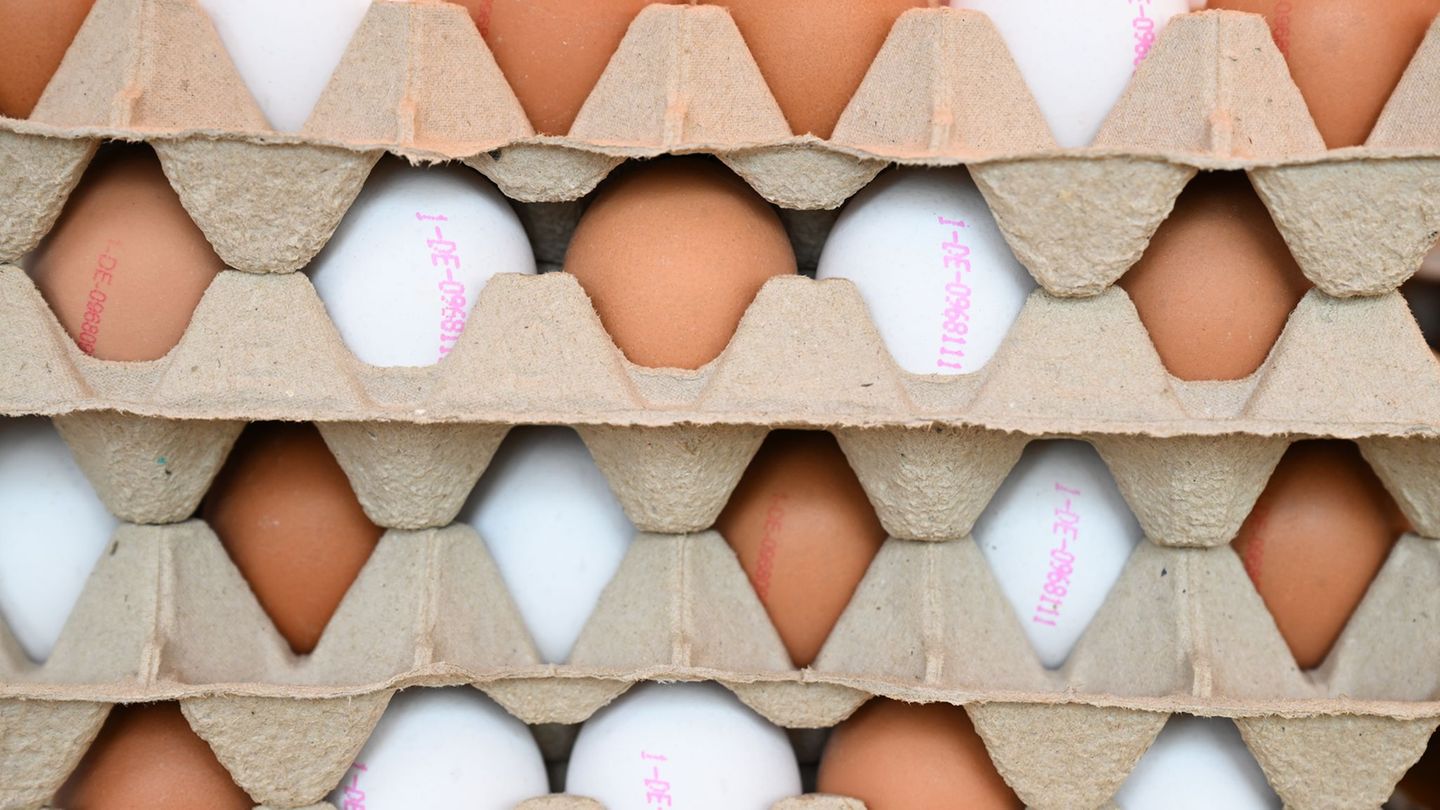 Ostereier: Hat Rheinland-Pfalz genügend Eier zu Ostern?