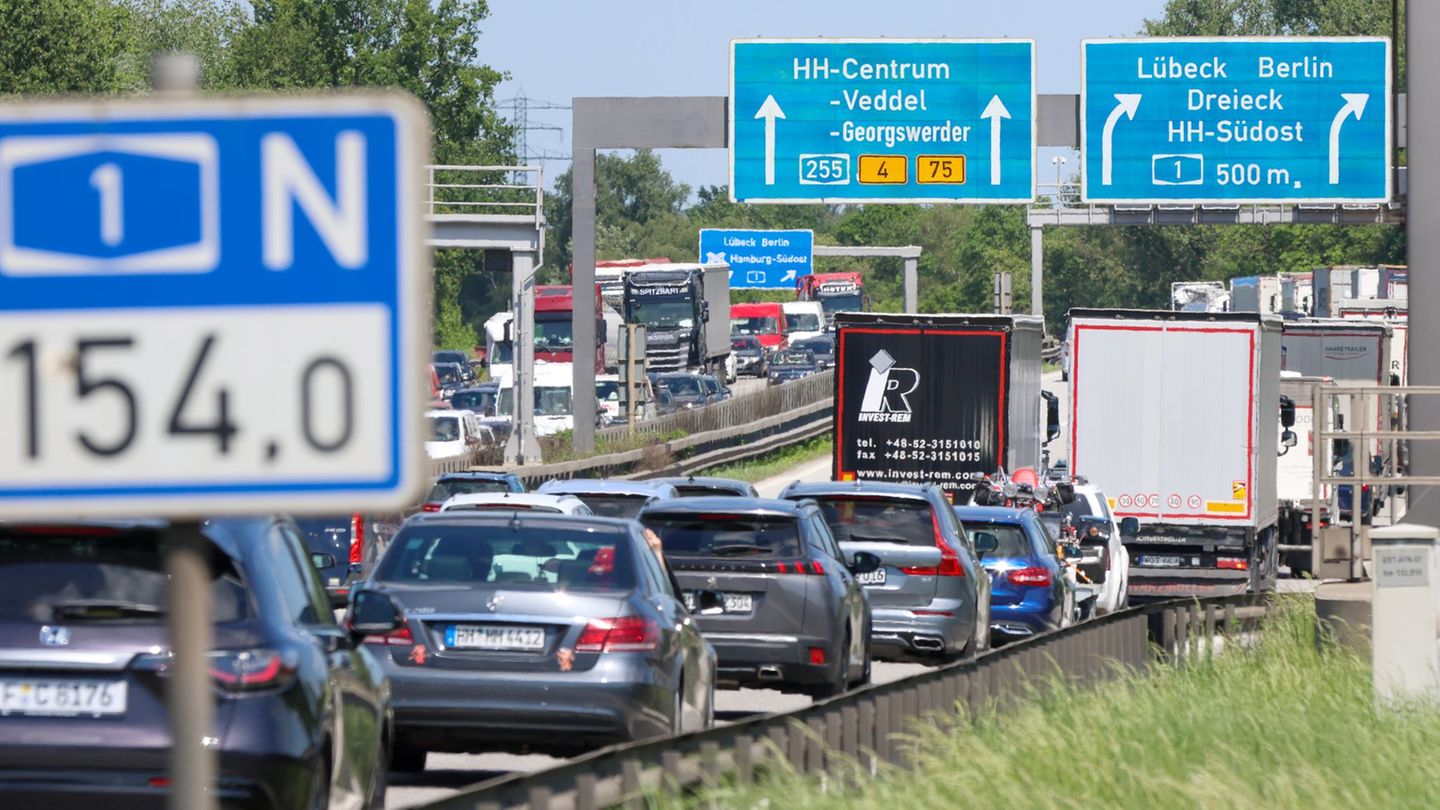 Verkehrseinschränkungen an der Norderelbbrücke führen häufig zu Staus auf der A1. (Archivbild) Foto: Bodo Marks/dpa