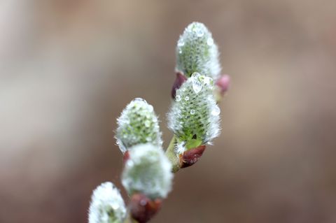 In Sachsen-Anhalt werden Gewitter und Graupel erwartet. (Archivbild) Foto: Matthias Bein/dpa