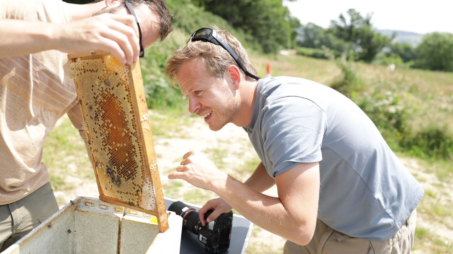 Das ist durchaus eine komplizierte Aufgabe für Bertie Gregory: Wie bringt man das Leben der kleinen Bienen auf die Leinwand?