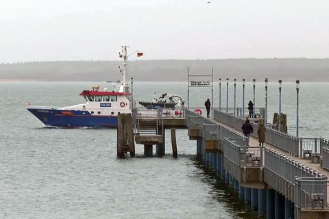 Die Einsatzkräfte suchen den Wal seit dem Morgen wieder von Wasser aus. Foto: Stefan Tretropp/dpa