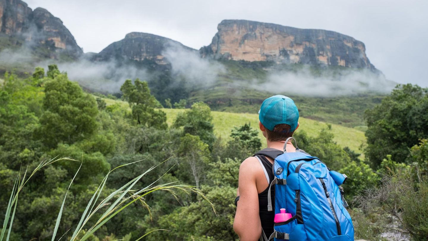 Tropenmedizin: Malaria-Prophylaxe: Schlucken Reisende seit Jahren zu viele Pillen?