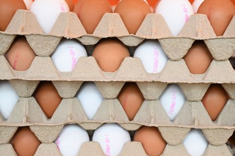 Die Eierproduktion sank zuletzt in Brandenburg etwas. (Symbolbild) Foto: Arne Dedert/dpa