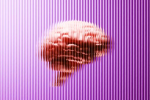 Ein Gehirn hinter einer gebrochenen Scheibe