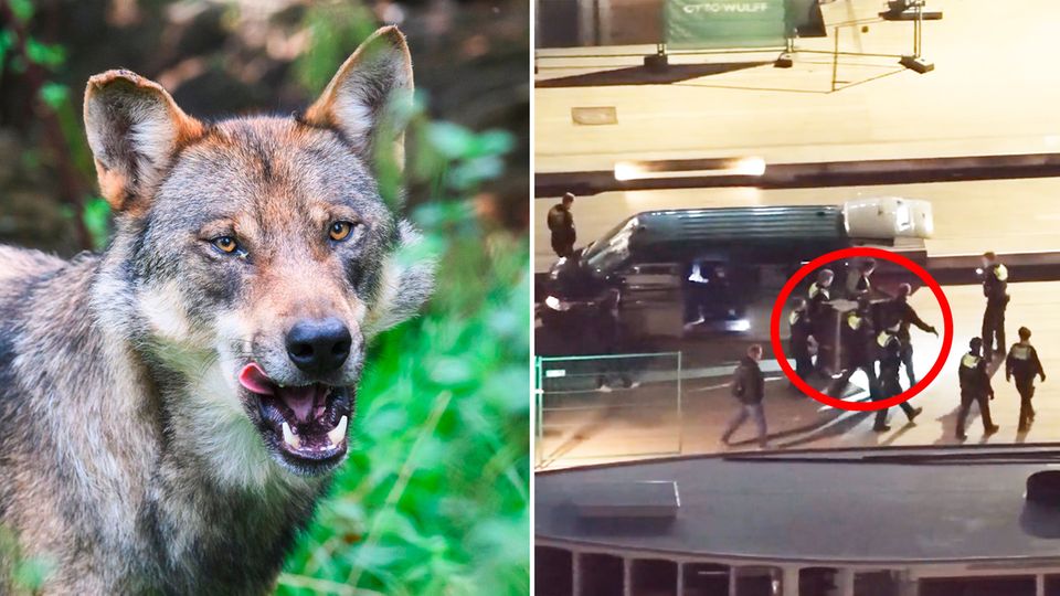 Hamburgs Polizei an der Binnenalster