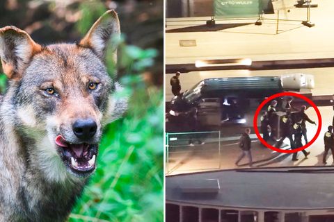 Hamburgs Polizei an der Binnenalster