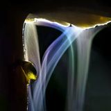 Des Nachts entfaltet sich vor Indranil Basu Mallicks Linse der Kreislauf des Lebens. Der Fruchtkörper des Termitenpilzes beginnt sich bereits zu zersetzen, doch den Schnecken bietet er noch ein nahrhaftes Mahl. Aus seinem Schirm strömen derweil die Sporen einer neuen Pilzgeneration. Der Lampenschein und eine lange Belichtung verwandeln sie in zarte, zauberhafte Schleier.   