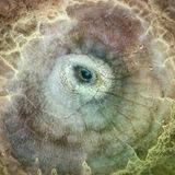 Aus der Vogelperspektive erinnert die heiße Quelle im isländischen Geothermalfeld Hveravellir an ein Echsenauge. Ein kleines, tiefblaues Wasserbecken bildet den Augapfel; graubraune Mineralablagerungen betten es ein wie runzelige Haut. „Die Szenerie besitzt eine raue, natürliche Schönheit, die sich beinahe lebendig anfühlt“, sagt Pawel Zygmunt, Sieger in der Kategorie „Landschaft“