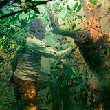 Die Honigsammler der Sundarbans an der Küste Bangladeschs nehmen von der Natur, ohne sie auszubeuten. Sie wissen, dass nur ein vorsichtiger und respektvoller Umgang die Ressourcen ihrer Heimat erhält. Doch ihre Weitsicht schützt sie nicht vor den Auswirkungen der globalen Zerstörung. Der steigende Meeresspiegel gefährde die weltgrößten Mangrovenwälder und das kulturelle Erbe ihrer Bewohner, warnt Fotograf und Preisträger Muhammad Mostafigur Rahman