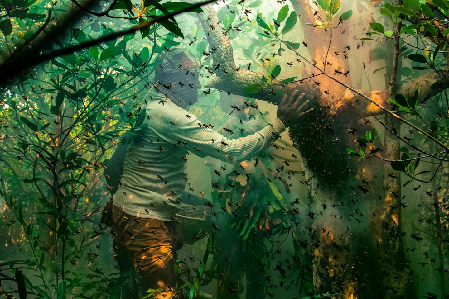 Die Honigsammler der Sundarbans an der Küste Bangladeschs nehmen von der Natur, ohne sie auszubeuten. Sie wissen, dass nur ein vorsichtiger und respektvoller Umgang die Ressourcen ihrer Heimat erhält. Doch ihre Weitsicht schützt sie nicht vor den Auswirkungen der globalen Zerstörung. Der steigende Meeresspiegel gefährde die weltgrößten Mangrovenwälder und das kulturelle Erbe ihrer Bewohner, warnt Fotograf und Preisträger Muhammad Mostafigur Rahman