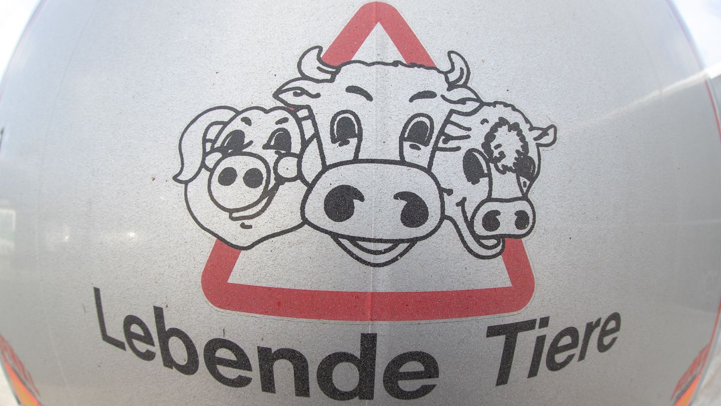 Im Prozess nach Tierschutzverstößen im früheren Schlachthof Bad gegen zwei Tierärzte wird das Verfahren voraussichtlich gegen Ge