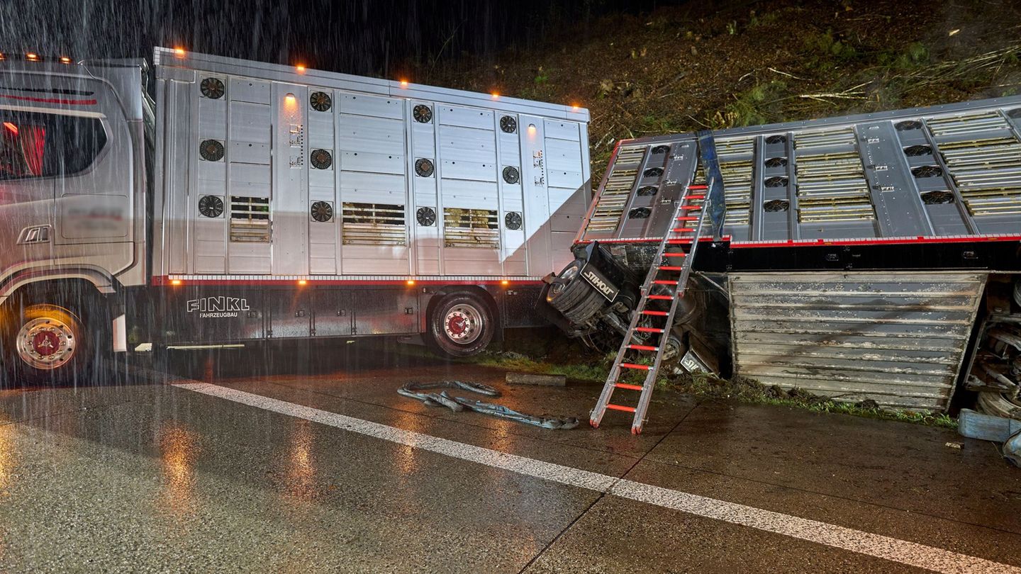 Nach dem Unfall des Tiertransporters auf der A3 wurden mittlerweile alle Rinder geschlachtet. Foto: Sascha Ditscher/dpa
