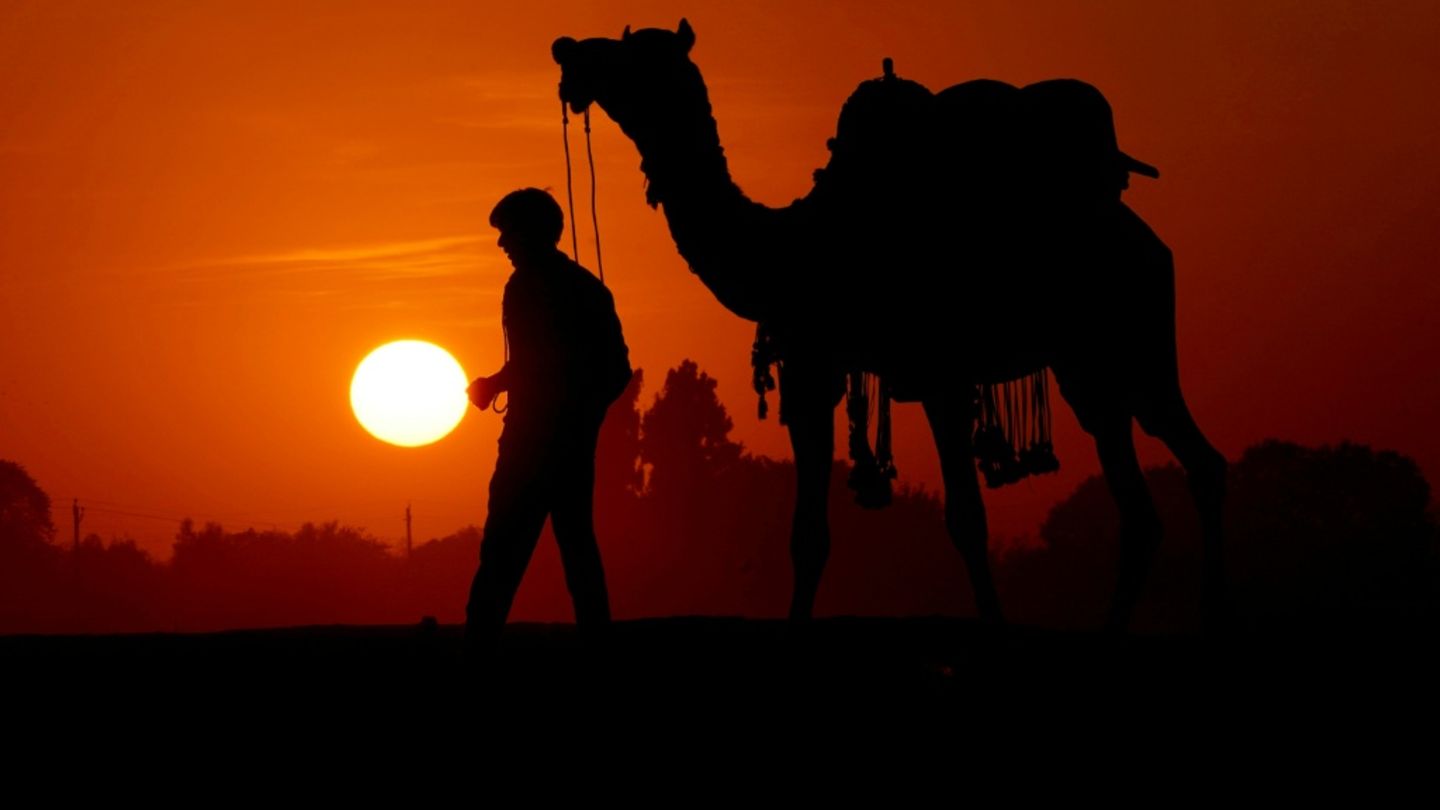 Mit Kamelen über Waldpfade: Alkoholschmuggler in Indien geschnappt