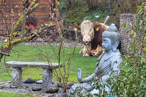 Der ausgebüxte Jungbulle machte es sich im Garten eines Einfamilienhauses bequem. Foto: -/Polizeiinspektion Ansbach/dpa