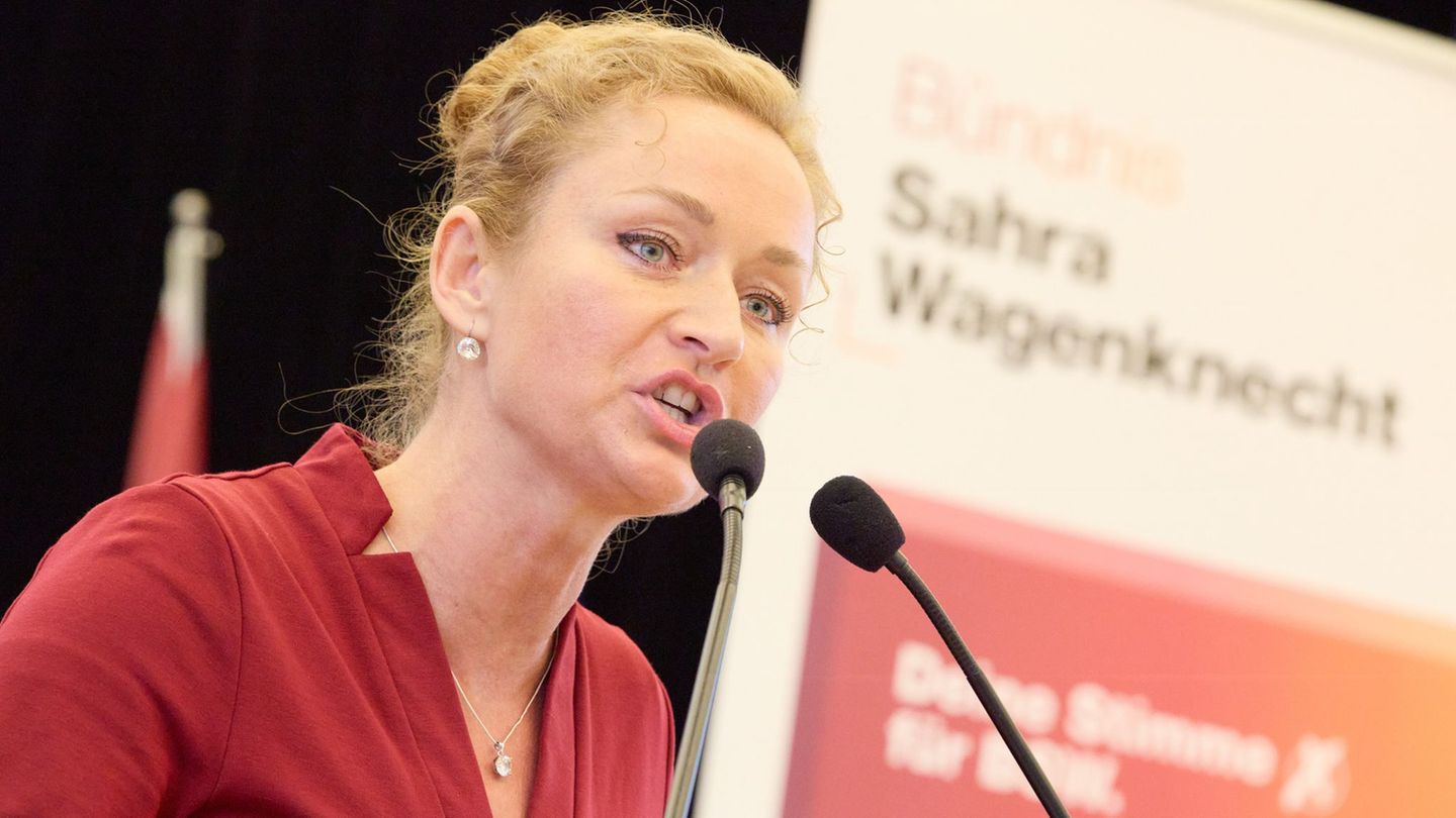 Nastic wirft dem BSW "Katzbuckelei" vor. (Archivbild) Foto: Georg Wendt/dpa